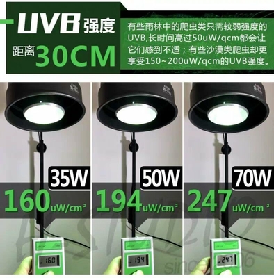 35W Rettile UVB PAR E27 Lampada HID in alluminio 6000K Alerta diurna per terrario