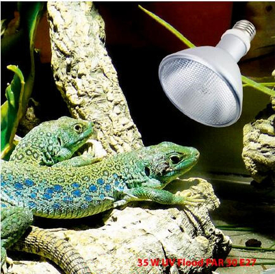 35W Rettile UVB PAR E27 Lampada HID in alluminio 6000K Alerta diurna per terrario