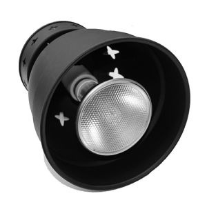 Prodotti per rettili di 70W dimmabili accessibili per la lampada HID