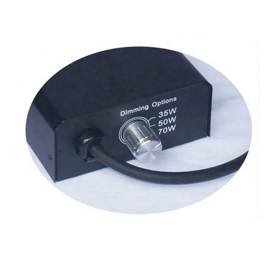 35W 50W 70W 110V-220V Multifunzione Dimmabile Multifunzione Electronic Ballast For HID MH Lampada per rettili Quartz Ceramica